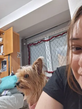 Cuidador de mascotas