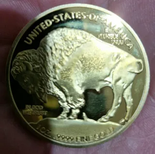 Moneda de Oro Buffalo USA