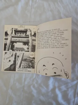 Cómic El pequeño monje