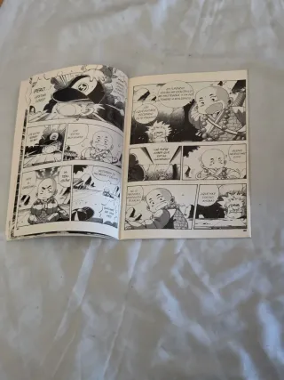 Cómic El pequeño monje