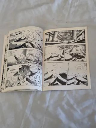 Cómic El pequeño monje