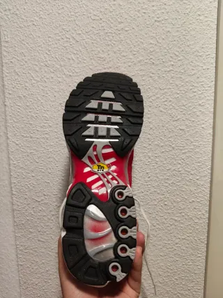 T46 Nike Air Max Plus Rojas