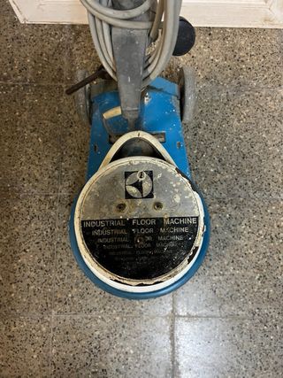 Pulidora Electrolux Industrial Monodisco