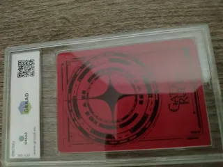 Gate Ruler Aras, Ruler of the Skies Carta Foil