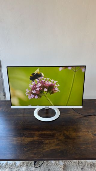 Monitor ASUS 24 Blanco