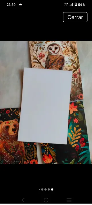 Lote 12 Postales Arte Animales y Naturaleza