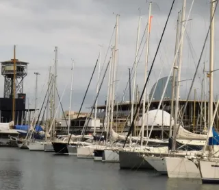 Olympus Cámara Digital