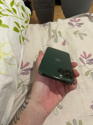 iPhone 13 Pro Max 256GB Verde