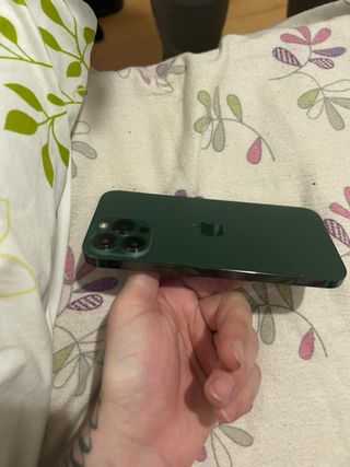 iPhone 13 Pro Max 256GB Verde
