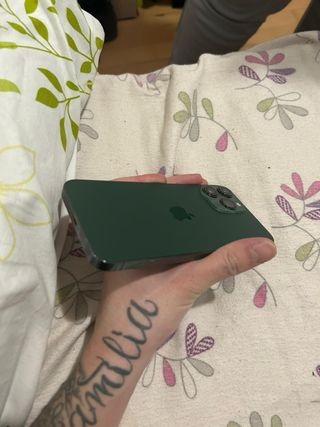 iPhone 13 Pro Max 256GB Verde