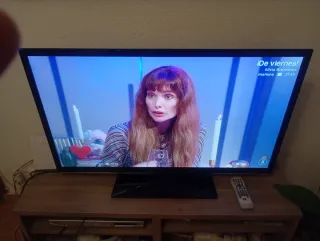 TV Sony Bravia 43 pulgadas