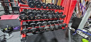 Juego Mancuernas 2.5kg a 35kg