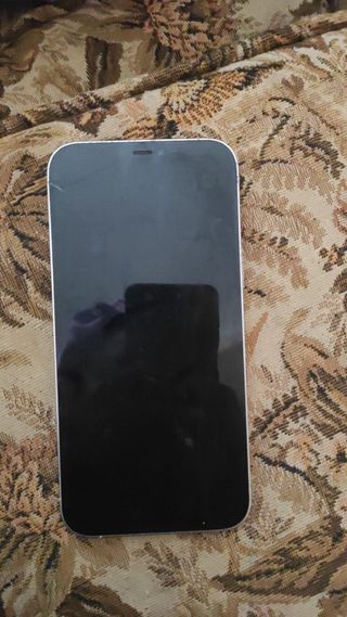 iPhone 12 Pro Max Argento/Bianco