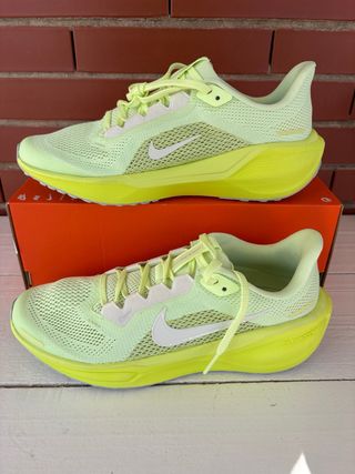 Zapatillas Nike Air Zoom Pegasus 41