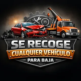Se Recogen todo tipo de vehiculos