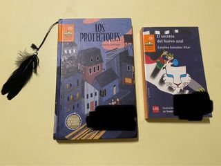 Libros de lectura a partir de 8 años