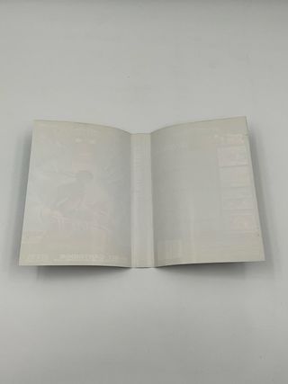 Street Fighter II Special Champion Edition