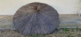 Sombrilla de jardín (manto y estructura de hierro)