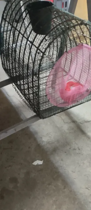 Lote de pesca: cañas y carretes