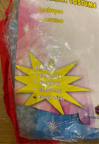 Disfraz Princesa Elsa  Frozen