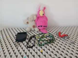 Collares y peluches para perros