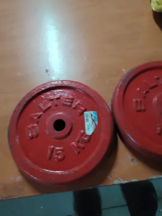 2 Pesas Salter 15 kg