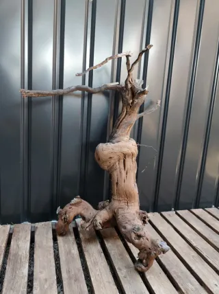 Raíz/tronco Decoración acuario OFERTA SOLO HOY!