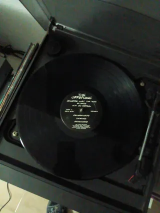 The Offspring - The Offspring- Vinilo