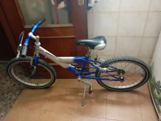 Bicicleta infantil 20