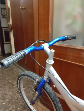 Bicicleta infantil 20
