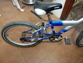 Bicicleta infantil 20