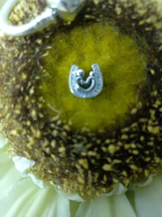 Colgante Familia Plata