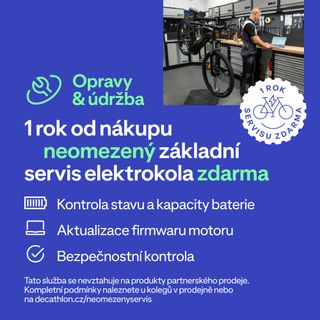 Bicicleta Trekking Eléctrica Cuadro Bajo E-Actv 100 Gris