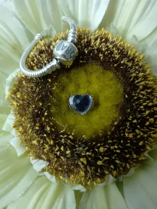 Colgante Corazón Plata