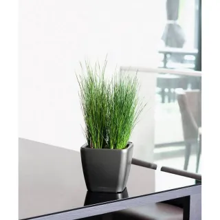 Maceta LECHUZA QUADRO LS 21 autorriego plata