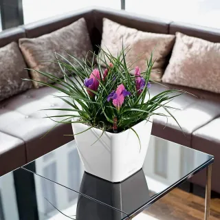 Maceta LECHUZA QUADRO LS 21 autorriego plata