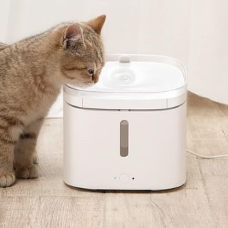 Fontana per animali domestici intelligente Xiaomi - Automatica per cani e gatti