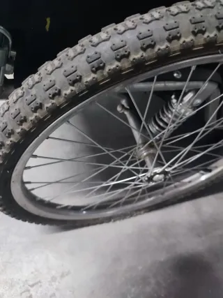 Carro bici 2 plazas (Solo bici)