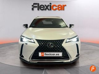 Lexus UX 2.0 250h Business