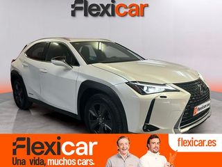 Lexus UX 2.0 250h Business