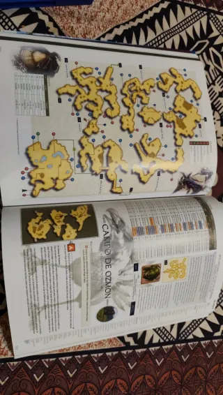 Final Fantasy XII PS2 + Guía Oficial