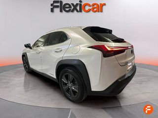 Lexus UX 2.0 250h Business
