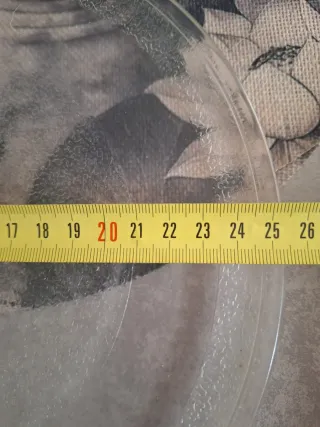 Plato giratorio microondas 25 cm