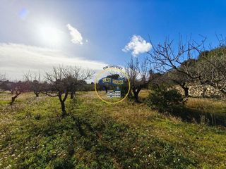 Solar en venta en Albaida