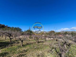 Solar en venta en Albaida