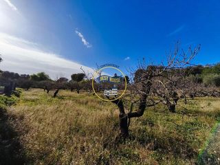 Solar en venta en Albaida