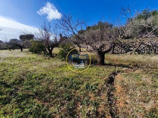 Solar en venta en Albaida