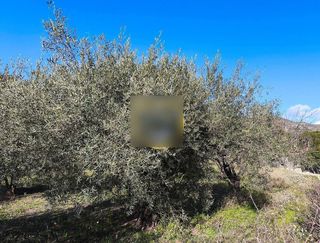 Solar en venta en Albaida