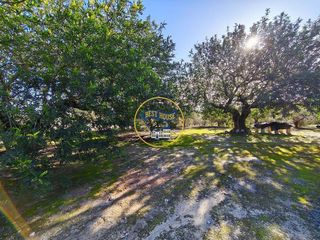 Solar en venta en Albaida