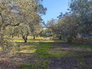 Solar en venta en Albaida